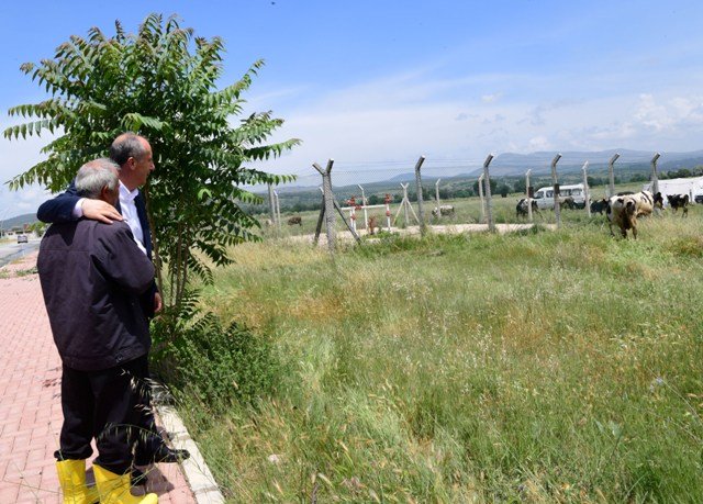 Muharrem İnce, Uşak'ta