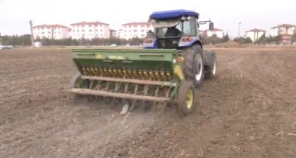 Ankara Büyükşehir Belediyesi'nin kiraladığı Atatürk Orman Çiftliği arazisi tohumla buluştu