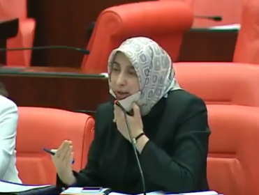 AKP'li Özlem Zengin: AK Parti gelene kadar kadın kelimesinin adı yoktu bu ülkede