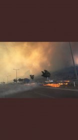 Hatay Belen'de orman yangını