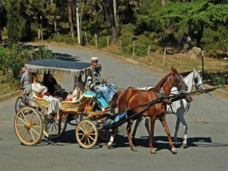 Adaların Simgesi Faytonlar Kalkıyor