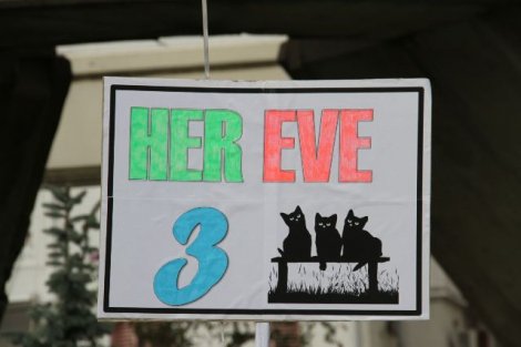 Her eve 3 çocuk değil, hayvan!