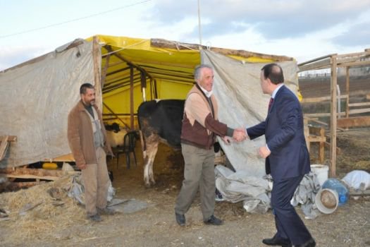 Işıklar kesim alanlarını ziyaret etti