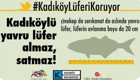 Kadıköy’de Lüferi koruma kampanyası