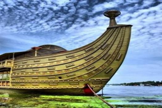 Nuh'un Gemisi'ne 31 bin yeni kayıt