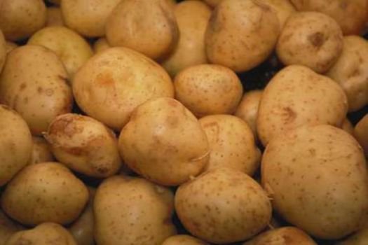 Patates, pancar ve soğan üreticisi don mağduru