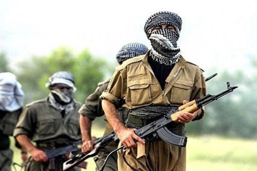 PKK'nın Bingöl planı deşifre oldu