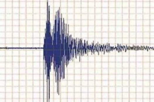 Van'da 4,4'lük deprem