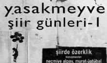 “Yasakmeyve Şiir Günleri”