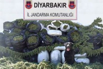 2 ton esrar ele geçirildi