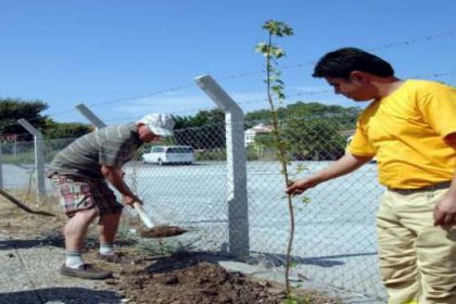 80.yaşını 80 fidanla kutladı