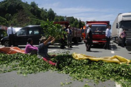 Çay üreticisi isyan etti