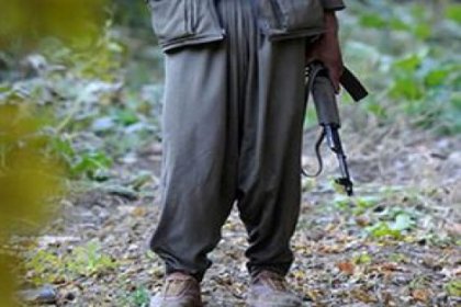 Danimarka'da PKK operasyonu