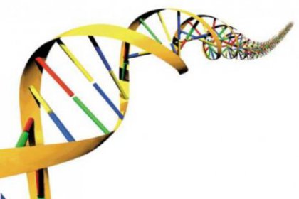 DNA'dan saç ve göz rengi tespit edilebilecek