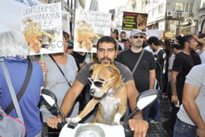 'Hayvanları koruma kanunu'