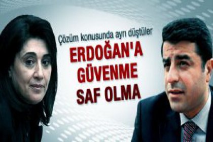 "Her kim Başbakan'dan umutluysa bu saflıktır''