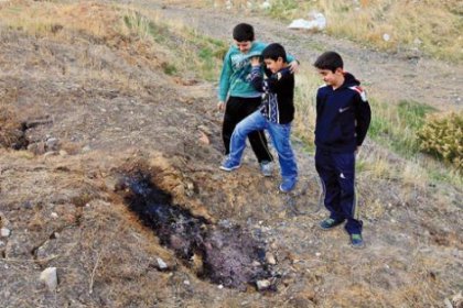 'İzmir'deki kirlilik besin zincirine girdi'