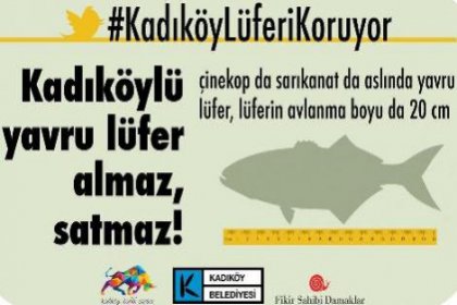 Kadıköy’de Lüferi koruma kampanyası