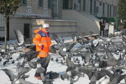 Kara kışta sokak hayvanlarını unutmadılar