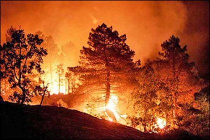 Portekiz'de orman yangınları