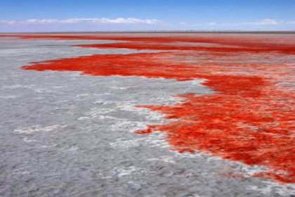Tuz Gölü kan kırmızısı