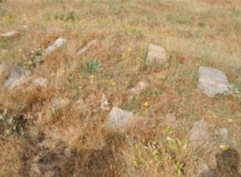 Bitlis'te bir toplu mezar daha
