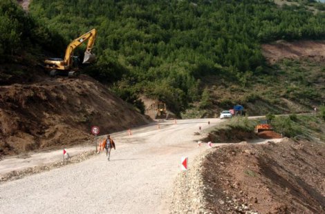 Bolu'da yüzlerce ağaç kesildi