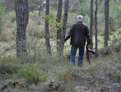 Esad yanlıları Türk polisiyle çatıştı