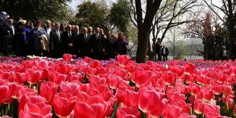 İstanbul Lale Festivali başladı