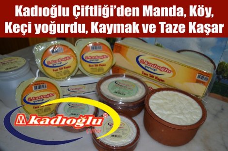 Kadıoğlu Çiftliği, Manda Yoğurdu seçkin marketlerde