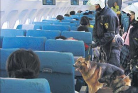 Türk yolcuları köpeklere aratıyorlar