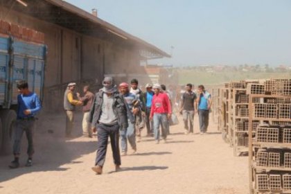 2 bin tuğla işçisinin grevi sürüyor