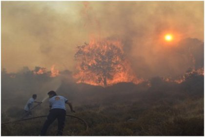 Bodrum'da yanıyor