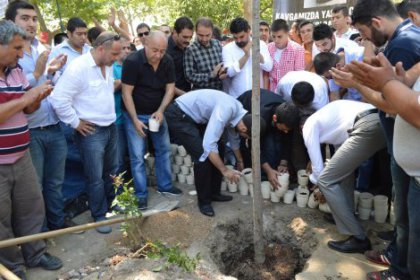 CHP'li gençler Taksim'e ağaç dikti