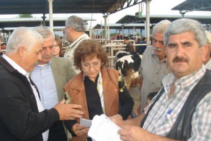 CHP'li Güler, hayvan hırsızlıklarını sordu!