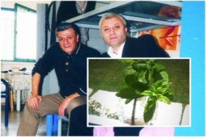 Gezi direnişine bir destek de Silivri'den