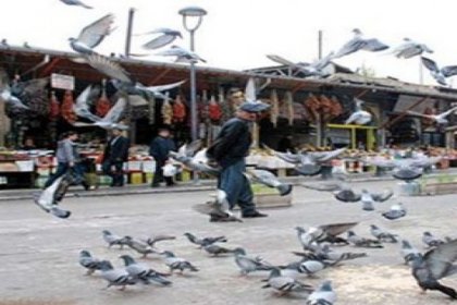 İşte Türkiye'nin iflas haritası