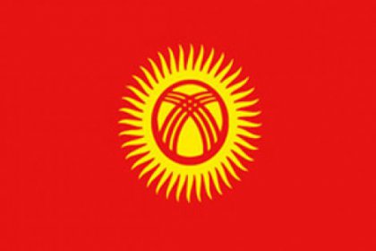Kırgızistan'da uçak düştü