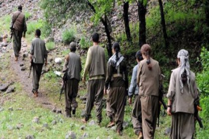 Tunceli gezisinde PKK'lılar yol kesti 'geçmeyin, mayın var' uyarısı yaptı