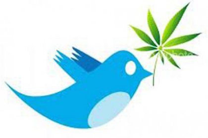 Twitter'dan marihuana siparişi!