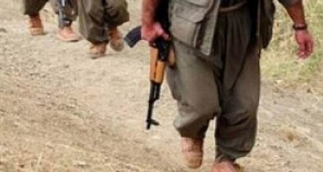 Alman Frankfurter Allgemeine gazetesi: PKK da silah istiyor