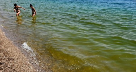 Antalya'da denizin yeşermesinin nedeni bulundu