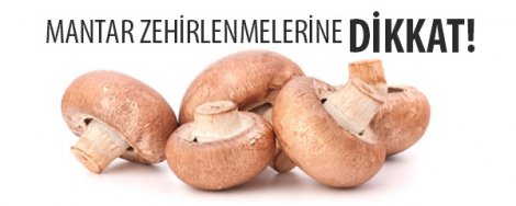 Mantar Zehirlenmelerine Dikkat