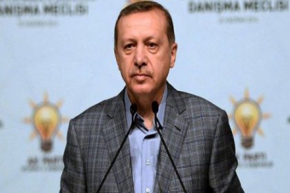 Başbakan Erdoğan'dan önemli açıklamalar