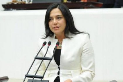 CHP'li Yüceer Berkin Elvanı Meclis'e taşıdı