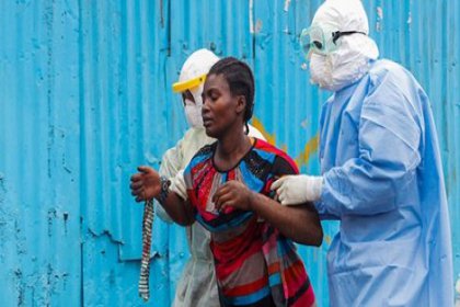 Eboladan kurtulanların kanı kara borsada