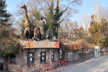 Hayvanat bahçesi müdürü, TÜBİTAK'a müdür yardımcısı oldu