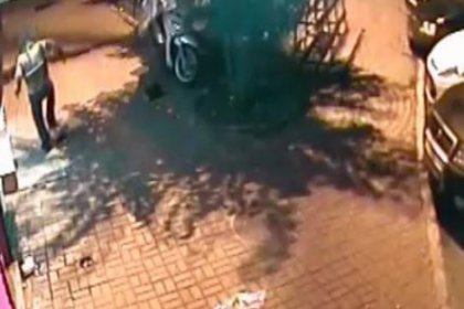 İstanbul'da seri kedi-köpek katili kadın kameraya yakalandı!