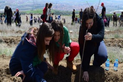 ODTÜ'ye 12 bin fidan dikildi