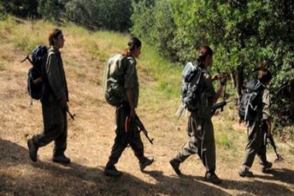 PKK Muş'ta 10 çocuğu kaçırdı
